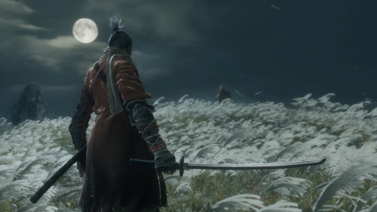 Sekiro: SDS